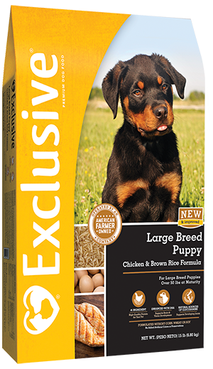 Exclusive Large Breed Puppy Chicken & Brown Rice Formula
